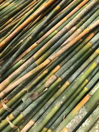 Full frame shot of bamboo