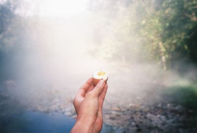 Cropped hand holding egg at forest