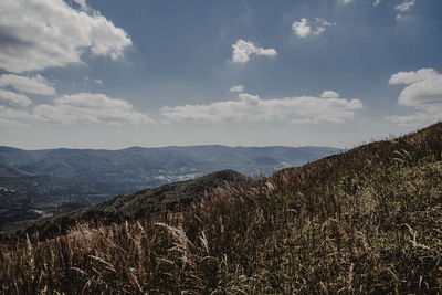 Scenic view of landscape against sky