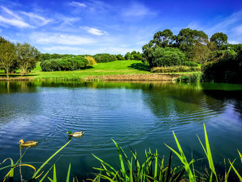 Scenic view of lake against sky