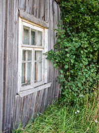 Close-up of house window