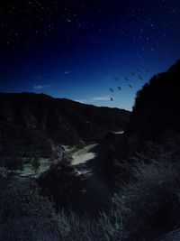 Scenic view of landscape against star field at night