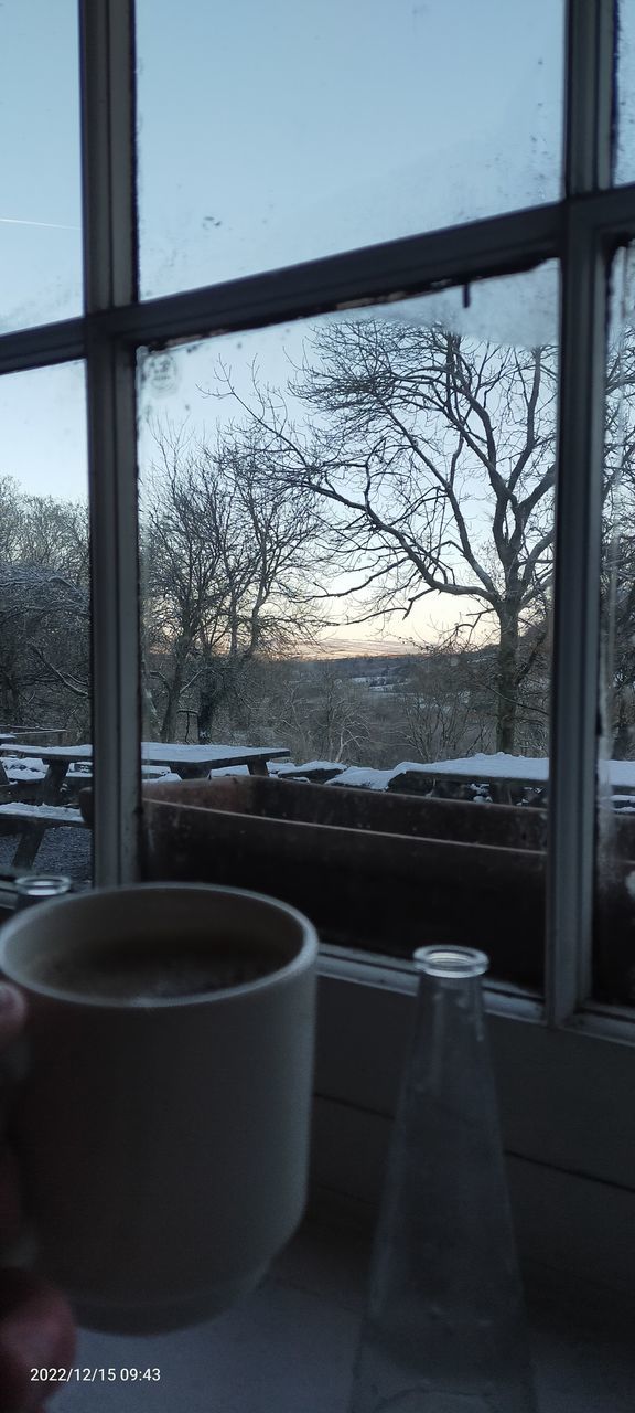 window, bare tree, indoors, glass, tree, nature, day, plant, black, white, blue, winter, cold temperature, cup, food and drink, sky, no people, interior design, drink, mug, architecture, transparent, lifestyles, house, snow