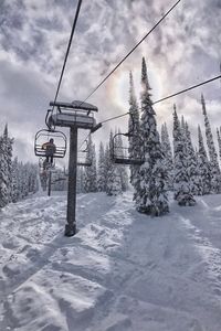 Snow covered trees against sky