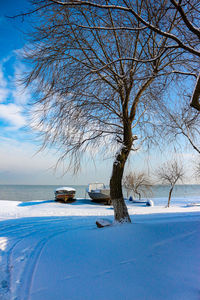 Bare tree on snow covered landscape against sky