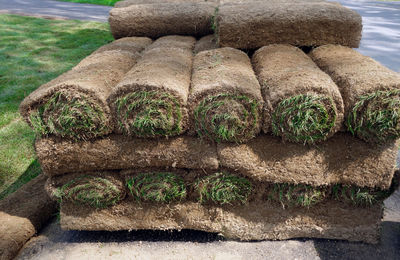 Stack of hay in field