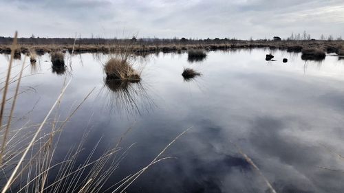 Scenic view of lake against sky