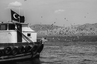 Bird flying over river