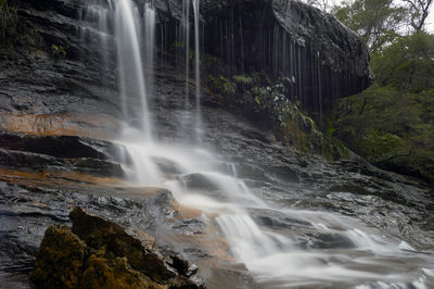 Scenic view of waterfall in forest