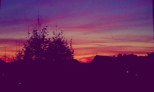 Silhouette trees at sunset