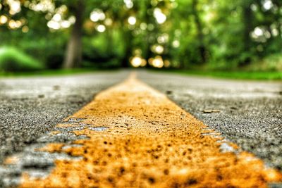 Surface level of road against trees