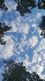 Low angle view of trees against cloudy sky