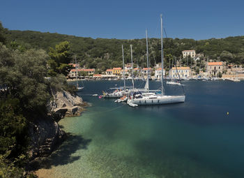Sailboats moored at harbor
