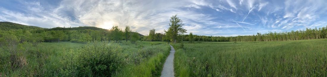 Panoramic view of landscape against sky