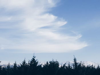 Low angle view of silhouette trees against sky