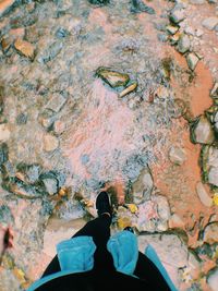 Low section of man standing on water