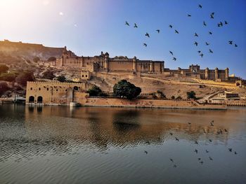 Birds flying over historic building against sky
