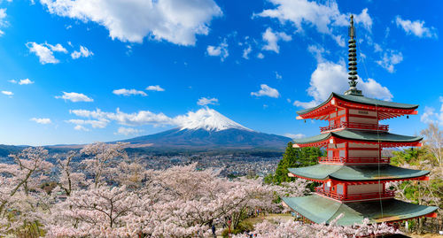 Chureito pagoda with mt fuji in background