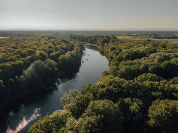 High angle view of river amidst plants against sky