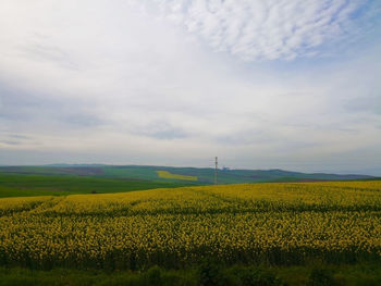 Scenic view of field against cloudy sky