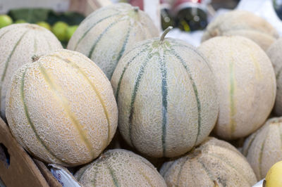 Close-up of melons at market for sale