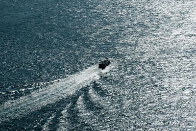 High angle view of person sailing on sea