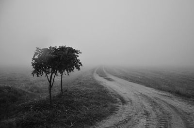 Trees on landscape against sky