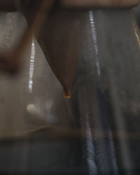 High angle view of feather on table