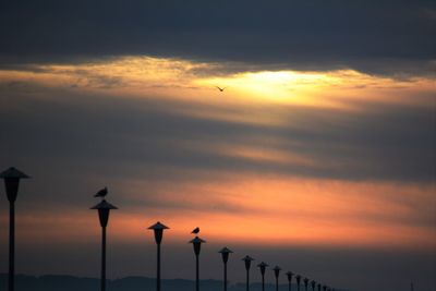 Silhouette birds on wooden post against sky during sunset