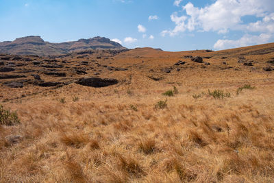 Scenic view of landscape and mountains against sky