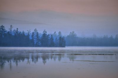 Scenic view of lake by trees against sky