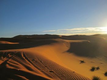 Scenic view of desert