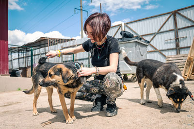 Dog at the shelter.  lonely dogs in cage with cheerful woman volunteer