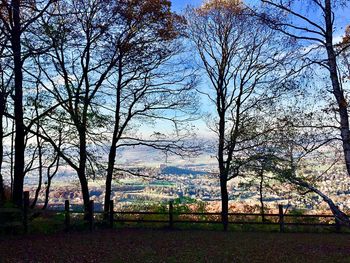 Bare trees on landscape against sky