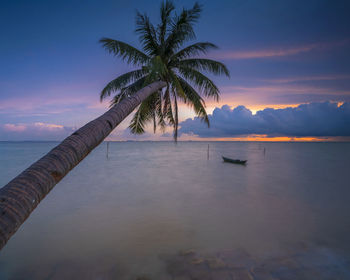 Palm tree by sea against sky during sunset