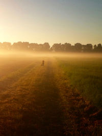 Scenic view of dirt road on landscape during foggy sunrise