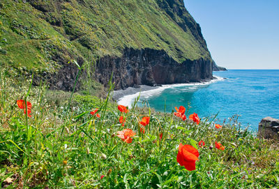 Scenic view of sea