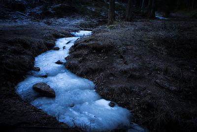 Close-up of frozen river in forest during winter