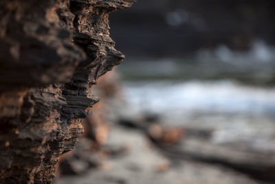 Close-up of rock formation