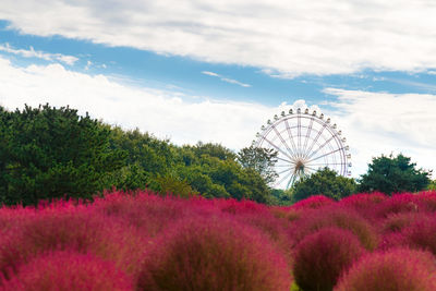 Ferris wheel in park against sky