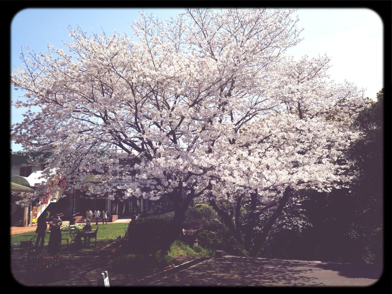 平和台公園