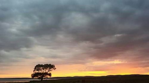 Scenic view of landscape against dramatic sky