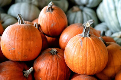 Close-up of pumpkins for sale at market