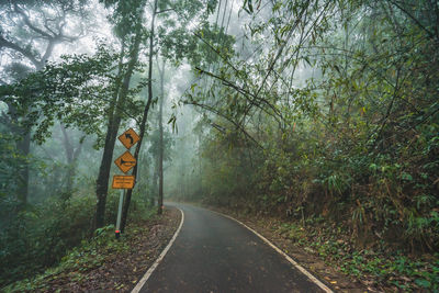 Road amidst trees in forest