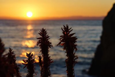 Scenic view of sea at sunset