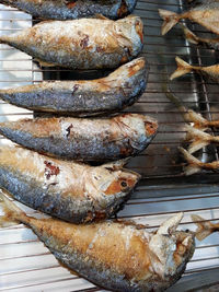 High angle view of fish for sale