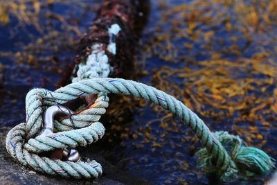 Close-up of rope tied on metal at shore