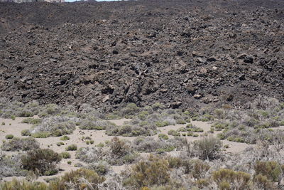 High angle view of desert land