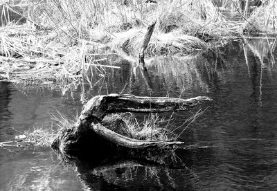 Close-up of water