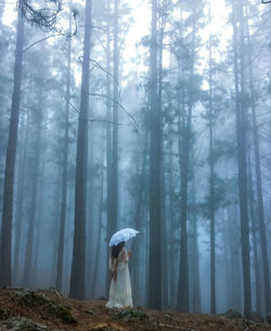 Woman holding umbrella while standing in forest during foggy weather